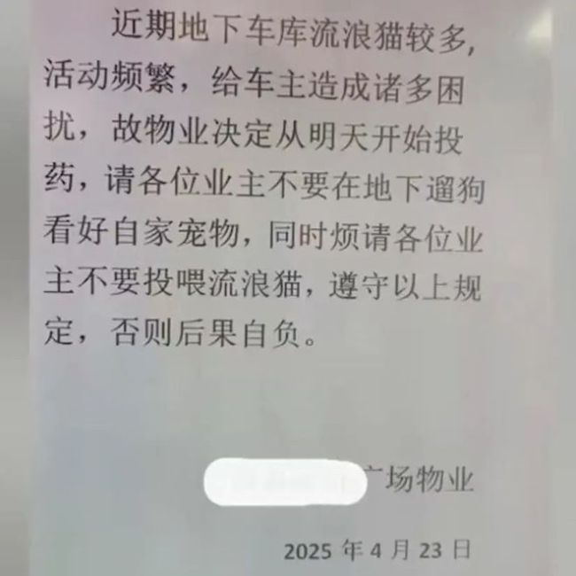 小区通知将对地下车库流浪猫投药