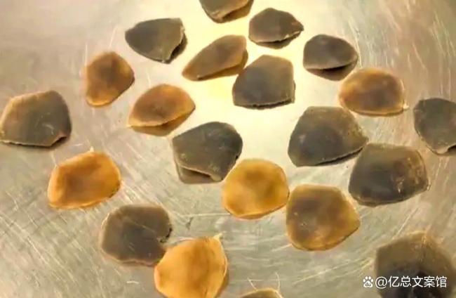 腰上缠900多克穿山甲鳞片过海关被查 走私屡禁不止背后的深层问题