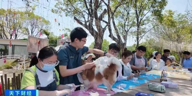 毛孩子也能坐公交了 宠物友好公交线受欢迎