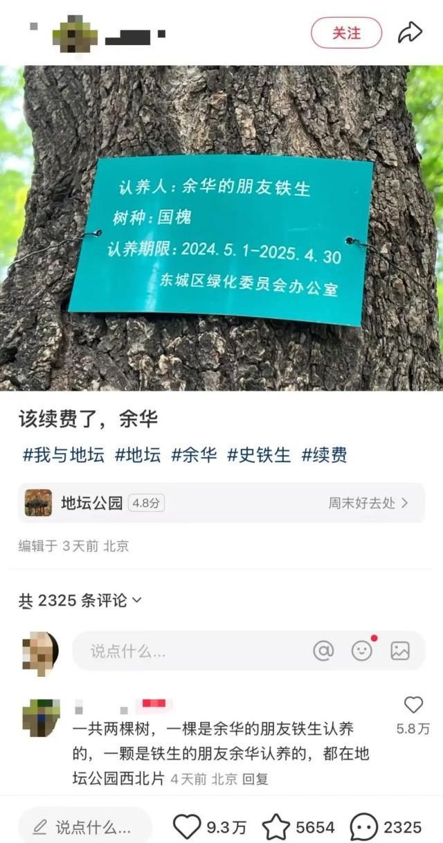 余华回应国槐树事件