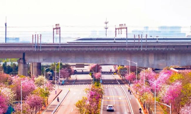 高铁+美景“色卡”来了！快来存屏保