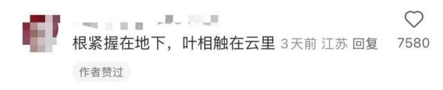 余华回应国槐树事件 文学友谊引发热议