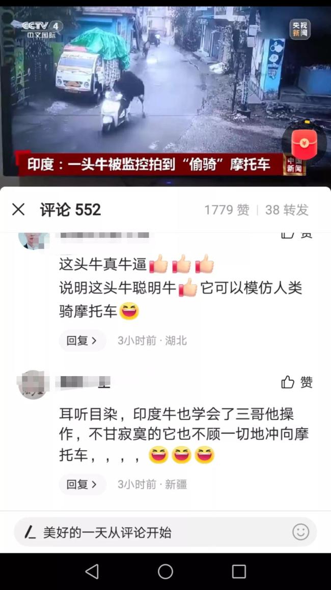印度一头牛被拍到偷骑摩托车 意外走红网络