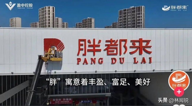媒体人：“胖都来”不是一个人在山寨 明星站台引发争议