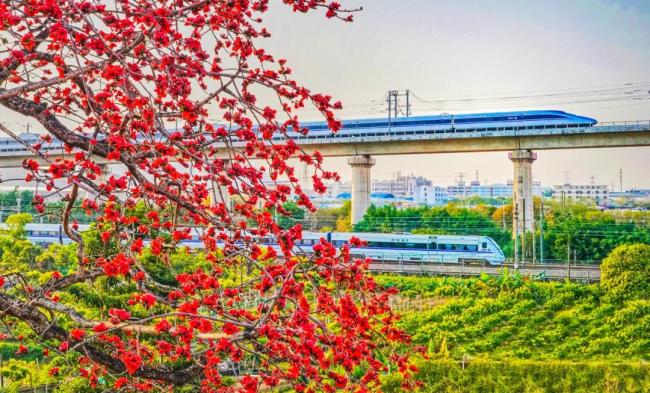 高铁+美景“色卡”来了！快来存屏保