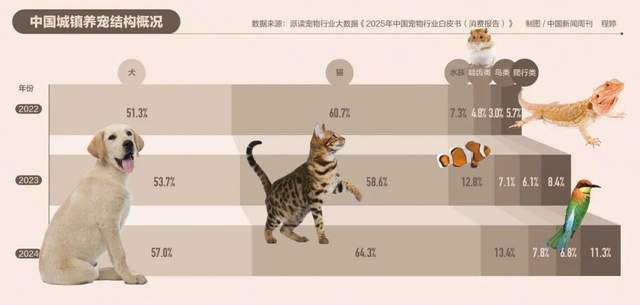 170多人报案：高价买的宠物，7天就死